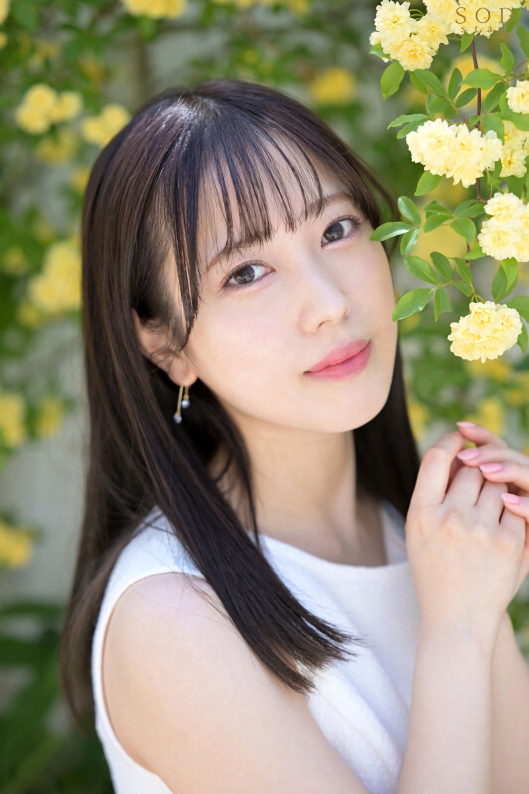 小湊よつ葉